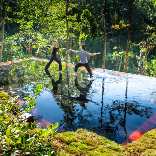 Rajakkad Estate Gardens